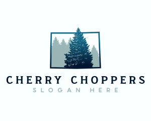 Colorado Spruce Tree logo design