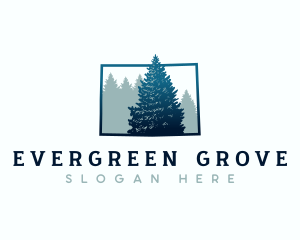 Colorado Spruce Tree logo design