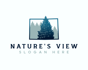 Colorado Spruce Tree logo design