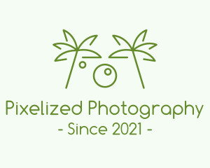 Tropical Minimalist Photography logo design