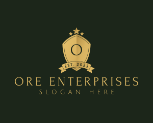 Elegant Shield Star logo design