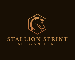 Horse Stallion Mare logo design