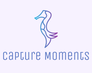 Seahorse Marine Animal  logo