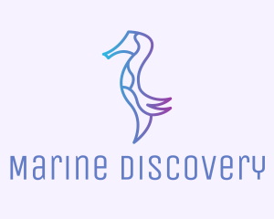 Seahorse Marine Animal  logo design