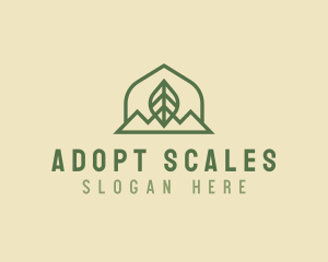 Nature Leaf Mountain logo design