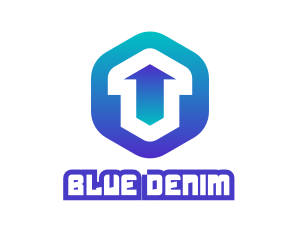 Blue Hexagon Arrow logo design