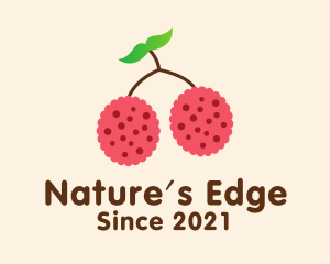 Raspberry Fruit Grocery logo design