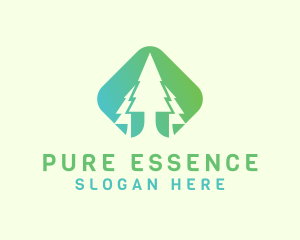 Forest Pine Tree logo design