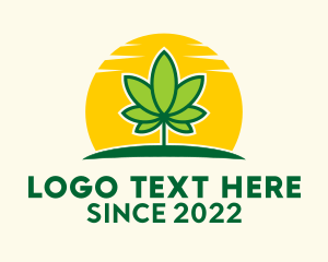 Medical Marijuana Sunrise  logo