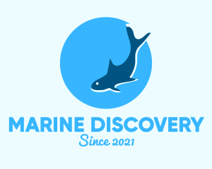 Blue Marine Shark logo design