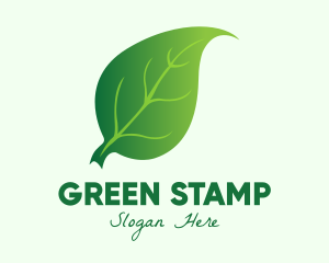 Green Herbal Leaf logo design