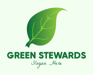 Green Herbal Leaf logo design