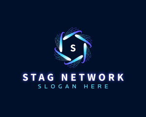 Digital Software Network logo design