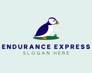 Avian Puffins Bird logo design