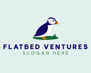 Avian Puffins Bird logo design