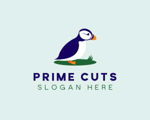 Avian Puffins Bird logo design