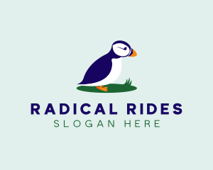 Avian Puffins Bird logo design