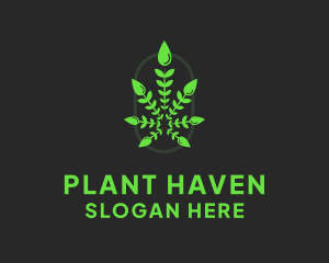 Plant Weed Cannabis logo design