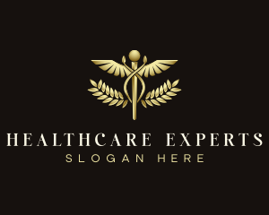 Healthcare Physician Caduceus logo