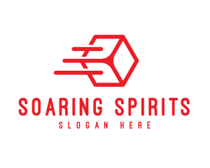 Flying Cube Outline logo