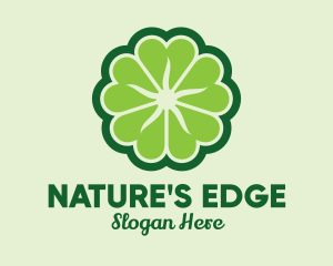 Shamrock Flower Pattern logo design