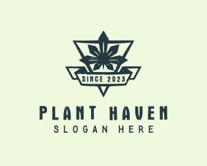 Cannabis Leaf Plant logo design