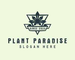 Cannabis Leaf Plant logo design