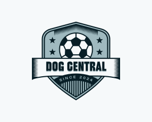 Soccer Sports League logo design