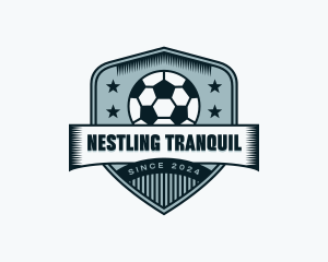 Soccer Sports League logo design