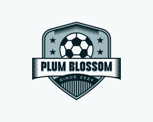 Soccer Sports League logo design