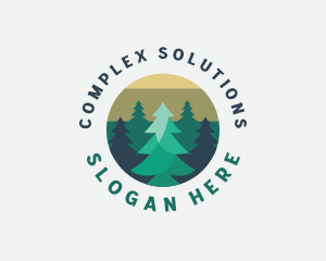 Pine Tree Forest logo design