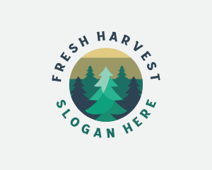 Pine Tree Forest logo design