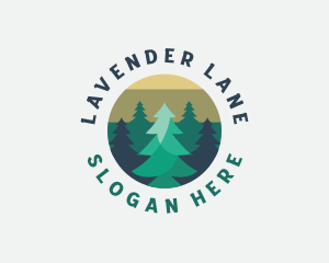 Pine Tree Forest logo design