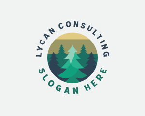 Pine Tree Forest logo design