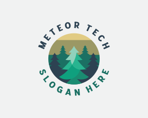 Pine Tree Forest logo design