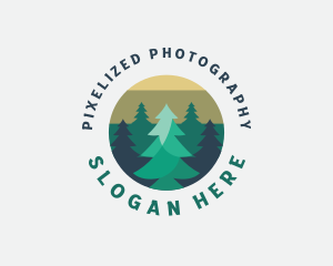 Pine Tree Forest logo design