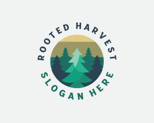 Pine Tree Forest logo design