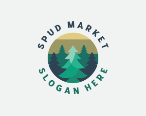 Pine Tree Forest logo design