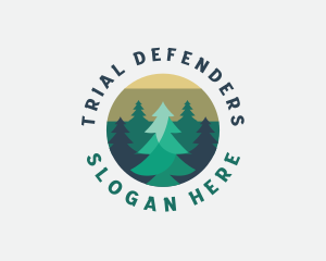 Pine Tree Forest logo design