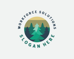 Pine Tree Forest logo design