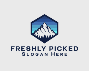 Peak Mountain Camping logo design