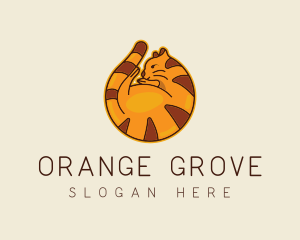 Orange Fat Cat logo