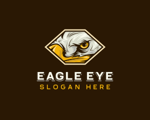 Bird Eagle Eye logo design