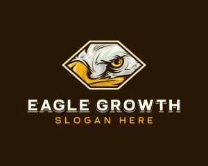 Bird Eagle Eye logo design