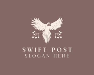 Dove Bird Mail Envelope logo design