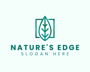 Geometric Eco Leaf  logo design