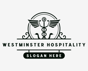 Caduceus Stethoscope Wings logo design