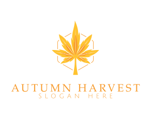 Marijuana Autumn Leaf logo design