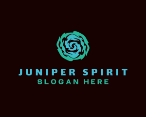 Spirit Wave Spiral logo design