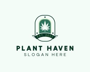 Marijuana Plant Herb Badge logo design